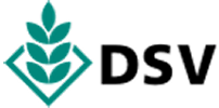 DSV