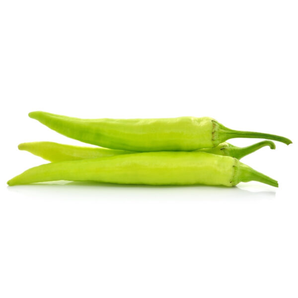 Hybrid Chilli - SAMYA