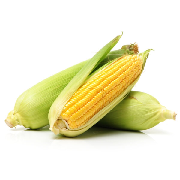Hybrid Maize - PRANAMI 7111