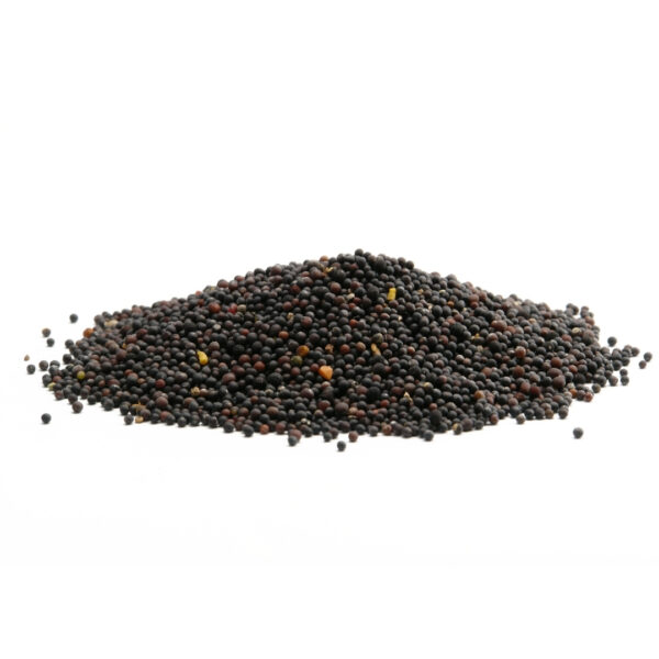 Hybrid Mustard - PRANAMI 102