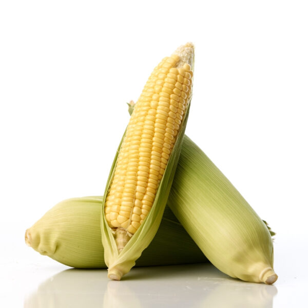 Hybrid Sweetcorn - PRANAMI SWEETY 5