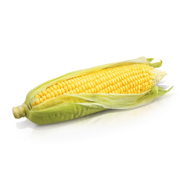 Hybrid Maize - PRANAMI 7205