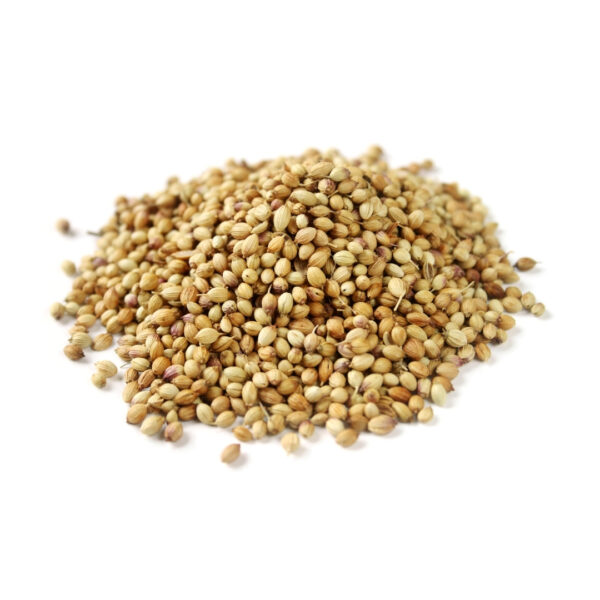 Improved Coriander - FLORA