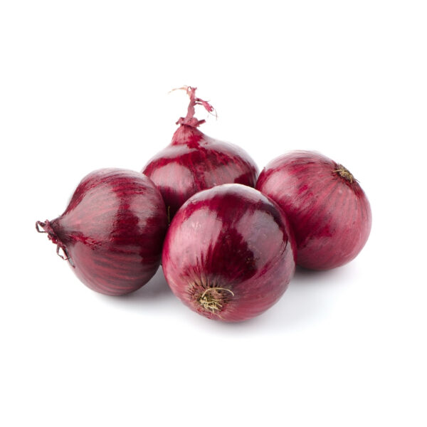 Improved Onion - PRANAMI RED