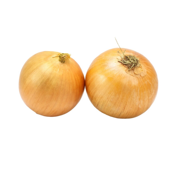 Improved Onion - PRANAMI YELLOW