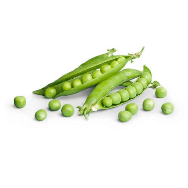 Improved Pea - OONA