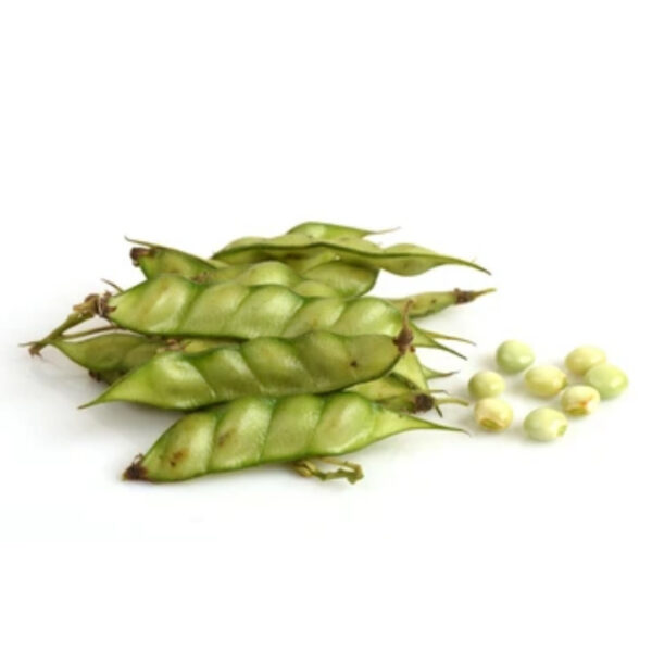 Improved Pigeonpea - LALI