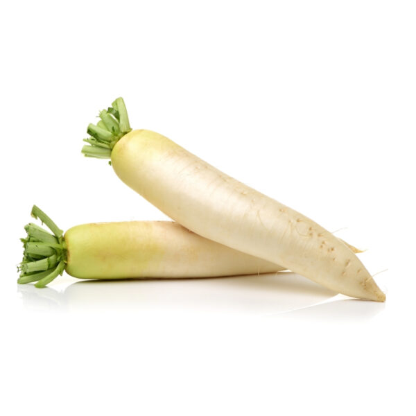 Improved Radish - STELLA